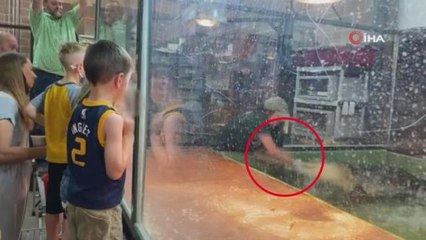 Timsah, çocukların gözü önünde hayvan terbiyecisinin elini ısırdı
