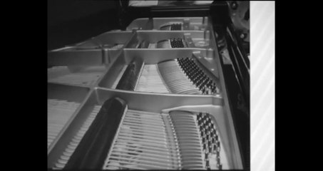 Petrus Castrus - Mestre