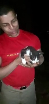 Bombeiros usam criatividade e improviso para salvar gato que caiu em cano de 13m de profundidade