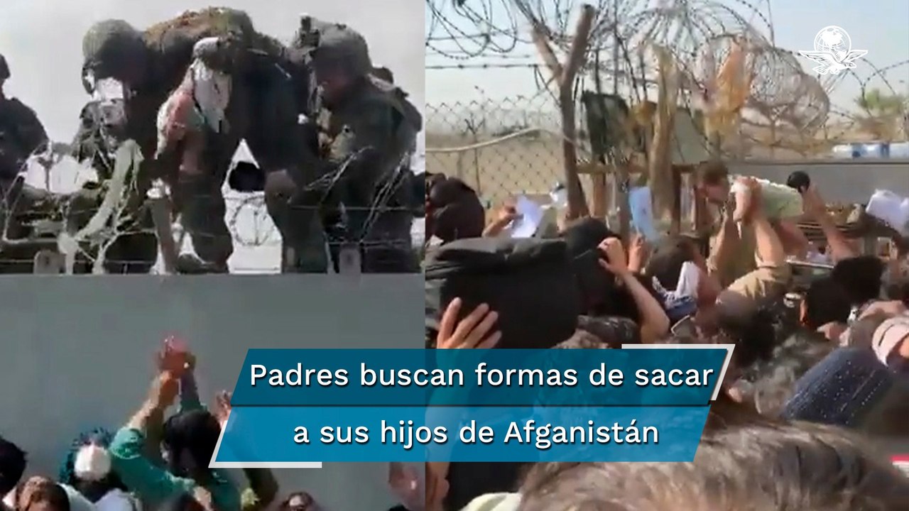 “Salven a mi bebé”: padres afganos entregan a sus hijos para que los saquen del país