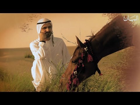 18 قصيدة لمحمد بن راشد في حب الخيل