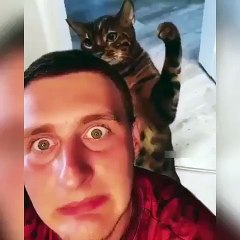 KEDİ BÖYLE SERTÇE VURUR ADAMA OH SANA