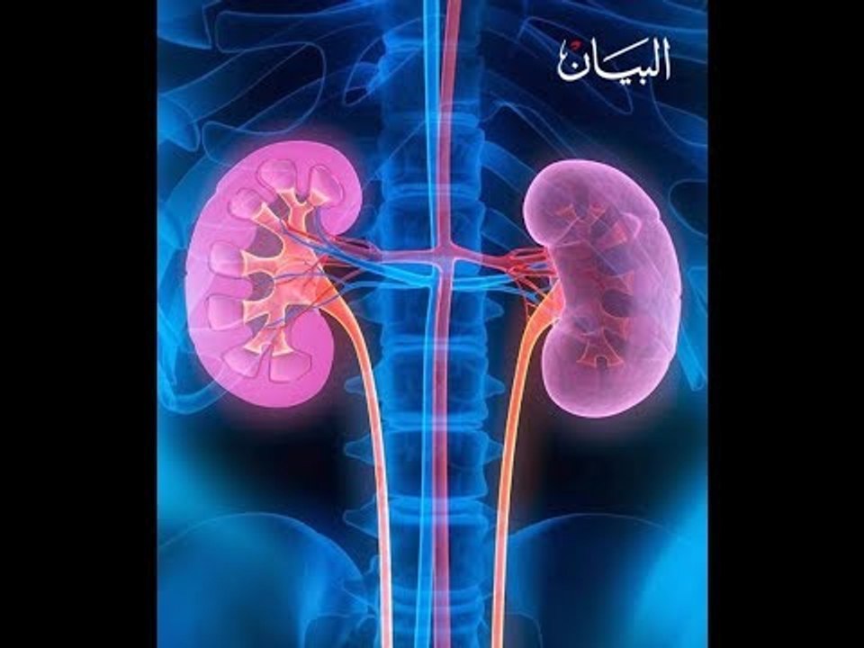 مبادرة إماراتية لمساعدة مرضى الكلى