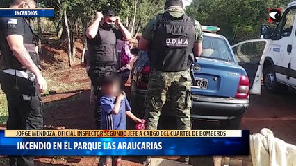 Incendio en el Parque las Araucarias