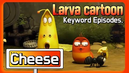KEYWORD CARTOON | Cheese | Larva Official Channel | Best animation