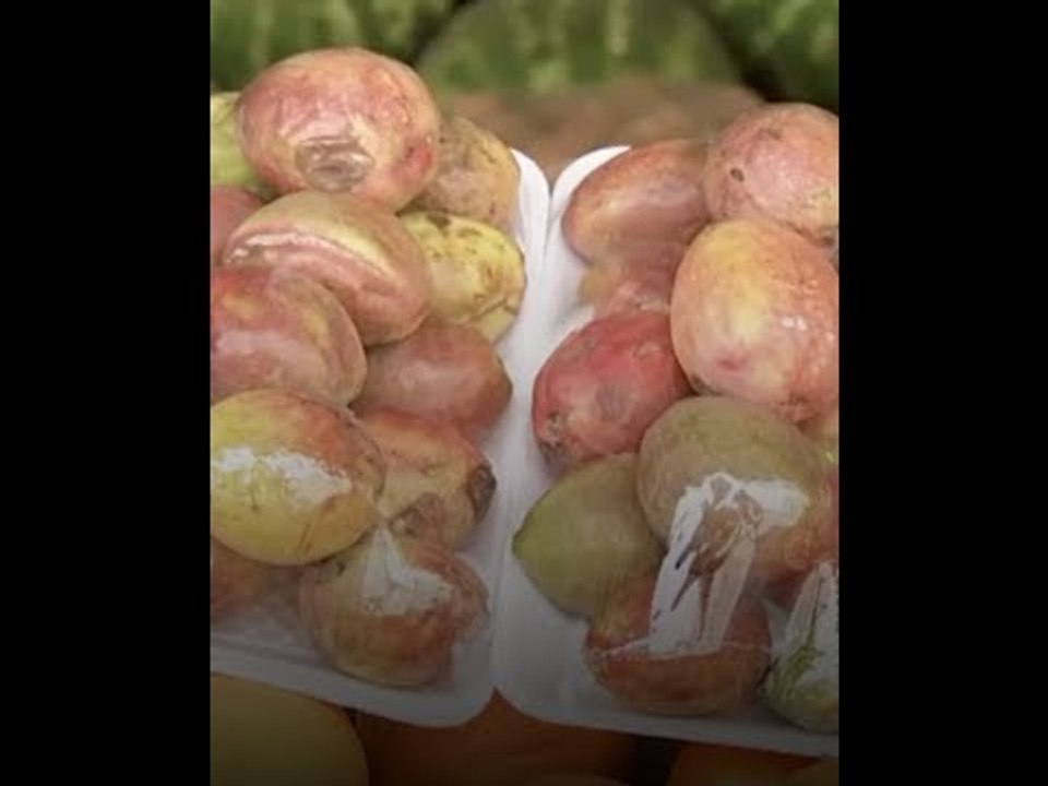 حكايات اللوز