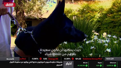 ...هو ما الذي يمكن التركيز عليه بحيث يمكن ا...