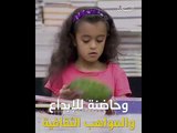 بيغ باد وولف دبي ألق يتجدد