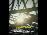 النخلة روح الصحراء