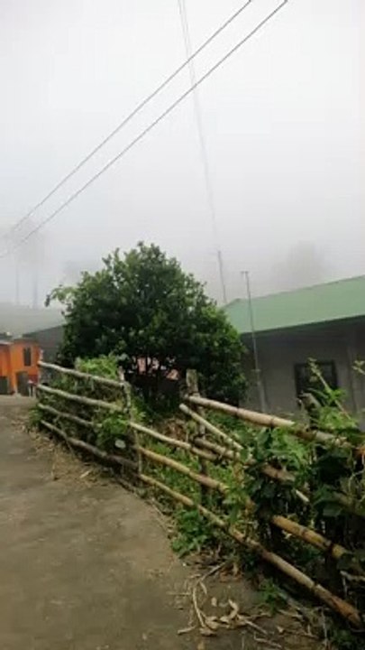 FOG