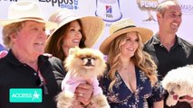 Why Lisa Vanderpump Won't Do 'Housewives' Spin-Off After 'RHOBH' Experience