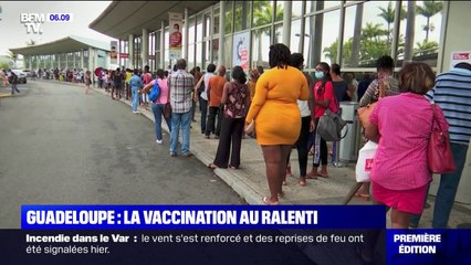 Covid-19: la vaccination progresse en Guadeloupe, 33% des habitants ont reçu leur première dose