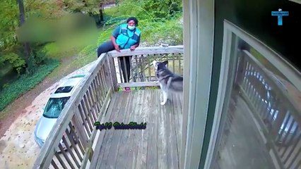 TOP 40 LIFE'S UNEXPECTED MOMENTS - JUST WAIT FOR IT!