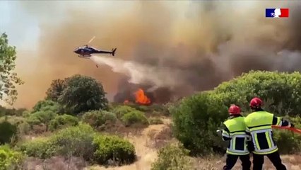 Лесные пожары уничтожают биоразнообразие в заповедниках Европы