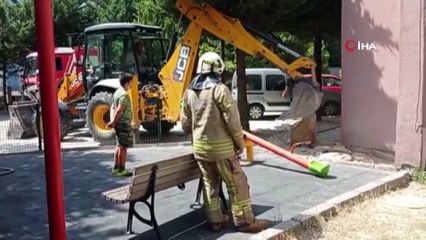 Beylikdüzü’de boruya sıkışan yavru kediler kepçeyle kurtarıldı