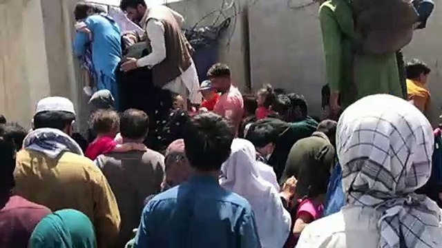 Red Cross launches appeal to deliver humanitarian aid