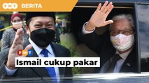 Ismail cukup pakar hal perangi Covid-19, layak jadi PM, kata SUA Umno