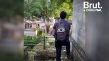 Sur Instagram, il photographie la faune du Père-Lachaise