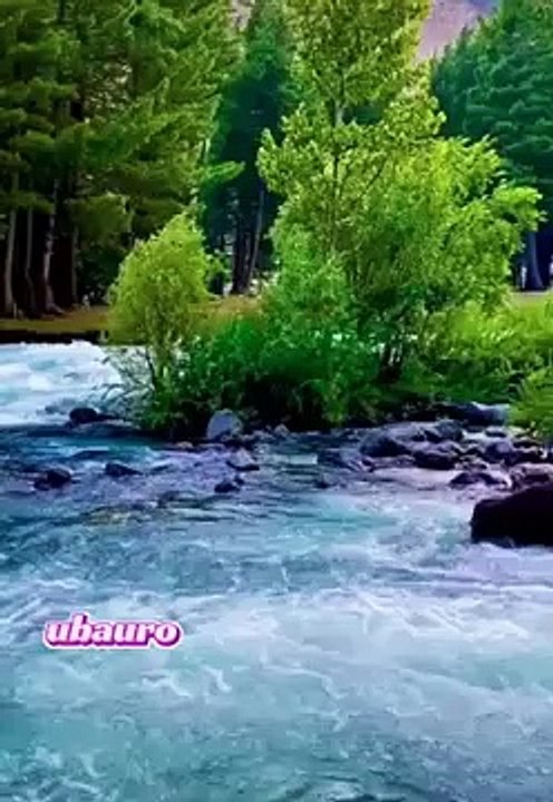 Real_Nature_universal_amazing(360p)
