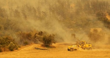 ORMAN BÖLGE MÜDÜRÜ: MANAVGAT'TAKİ YANGINDA DUMANIN ISITTIĞI YER YANMAYA BAŞLADI