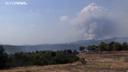 Φωτιά στο Δασκαλειό Κερατέας τη νύχτα - Δεν απειλούνται οικισμοί στα Βίλια