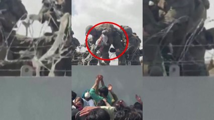 "아기라도 구해주세요" 철조망 너머로 아기 보낸 아프간 부모 / YTN