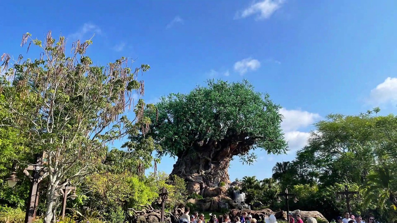 Disney World's Animal Kingdom Park - Orlando Florida