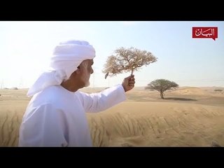 فنان إماراتي يحول مفردات الطبيعة إلى أعمال ثلاثية الأبعاد