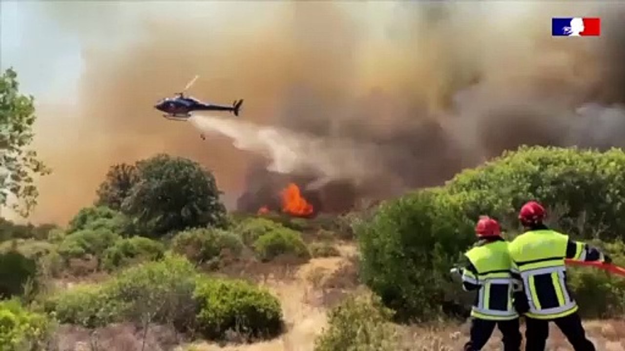 Südfrankreich: Mit Löschflugzeugen gegen die Flammen