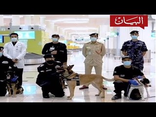 كلاب تكشف عن مصابي كورونا