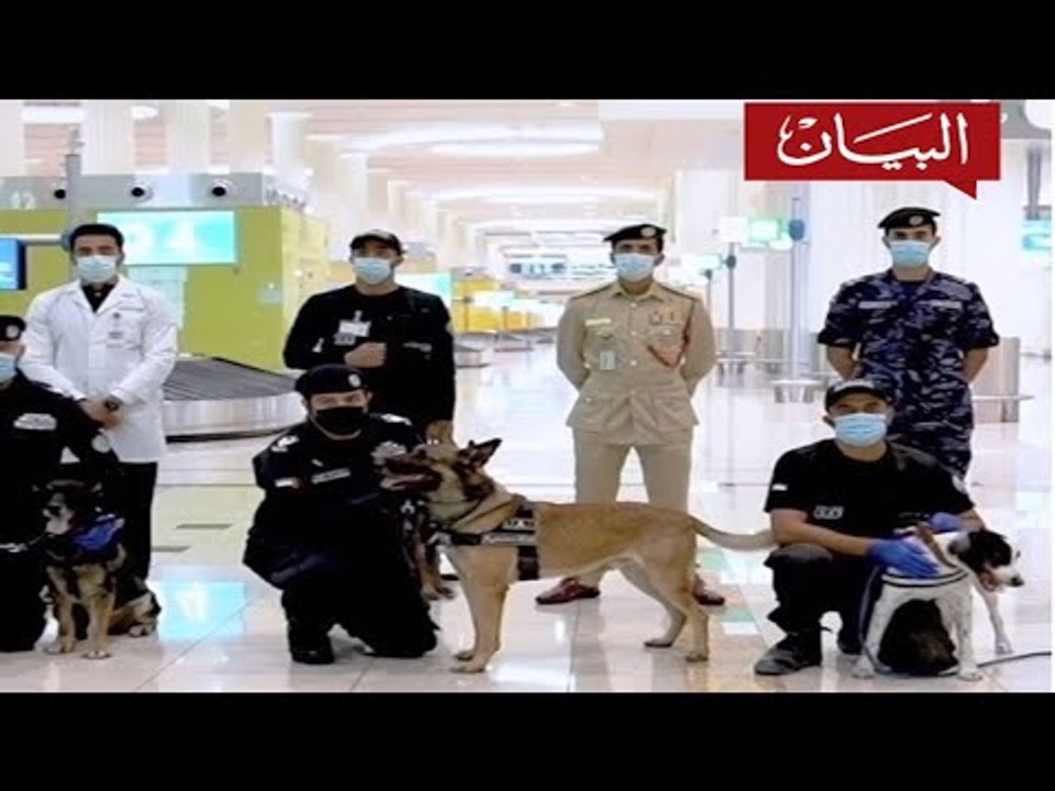 كلاب تكشف عن مصابي كورونا