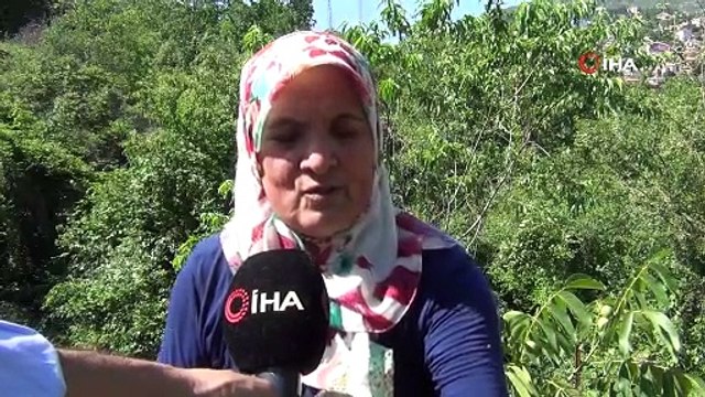 Hobi amaçlı yetiştirdi: şimdi kendisine ek gelir olacak