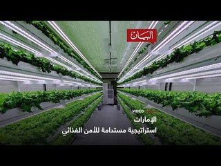 استراتيجية مستدامة للأمن الغذائي