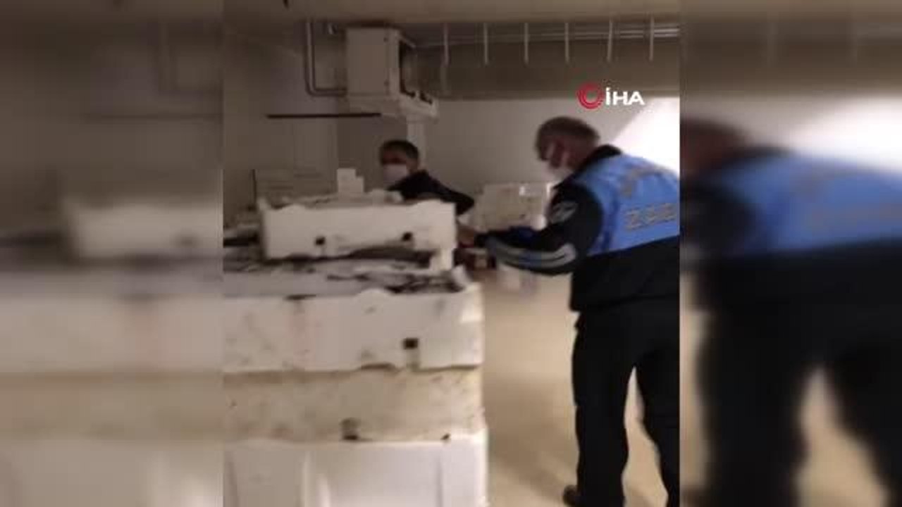 Yasak avlanan yarım ton balığına el konuldu