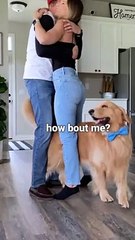 This Is What My Dog Does When I Hug My Husband