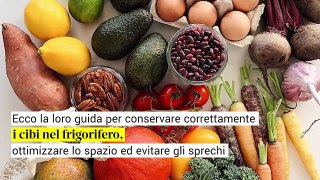 I segreti delle professioniste dell'ordine: la guida per un frigorifero perfetto