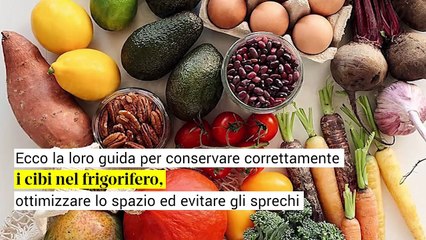 I segreti delle professioniste dell'ordine: la guida per un frigorifero perfetto