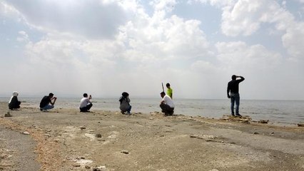 FLAMİNGOLAR KURAKLIK NEDENİYLE YER DEĞİŞTİRDİ, FOTOĞRAFÇILAR YAKINDAN GÖRÜNTÜLEYEBİLDİ