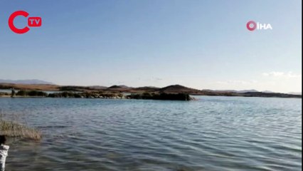 Kazların göçü böyle görüntülendi