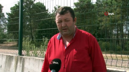 Mahalle muhtarından İBB’ye tepki: “Onlarca hayvanın açıkta kalmış cesetleri buradaydı”