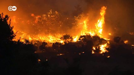 Ekolojik anksiyete: "Eviniz yanarken televizyon seyreder misiniz?"