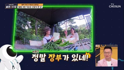 25년 동안 직접 만든 식재료 네트워크 연락망 TV CHOSUN 210820 방송