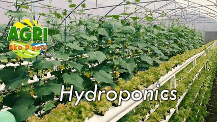 Hydroponics