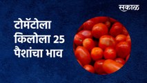 Maharashtra : टोमॅटोला किलोला 25 पैशांचा भाव | Tomato | Farmer |Maharashtra |  Sakal Media