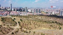 Ankara'ya 'Yeni Atatürk Orman Çiftliği' geliyor