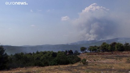 143 lengyel tűzoltó is segít Athén mellett a tűz oltásában