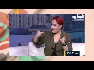 السفر مع الحيوان .. معلومات يجب أن تعرفها لقضاء اجازة مميزة برفقة حيوانك الاليف !