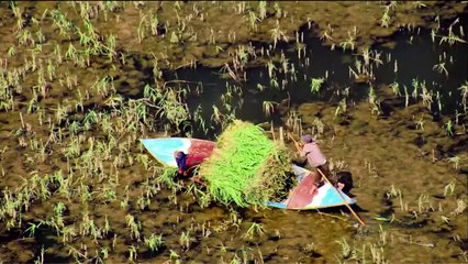 ...الدولية والاقليمية الملحة ....