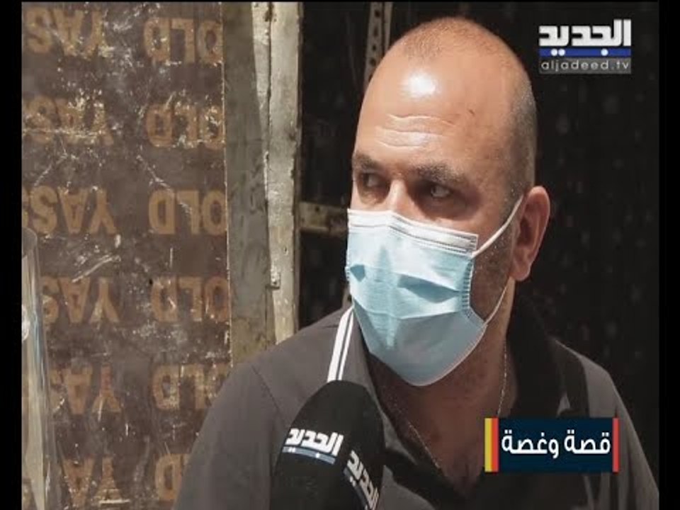 دنيا سيدة تجمع صدف البحر لتأمين لقمة العيش .. قصص صراع مع الحياة والظروف الصعبة !