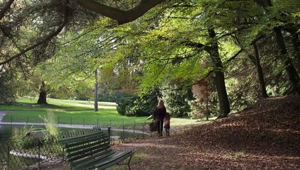 Bande-annonce de Madeleine Collins, avec Virginie Efira